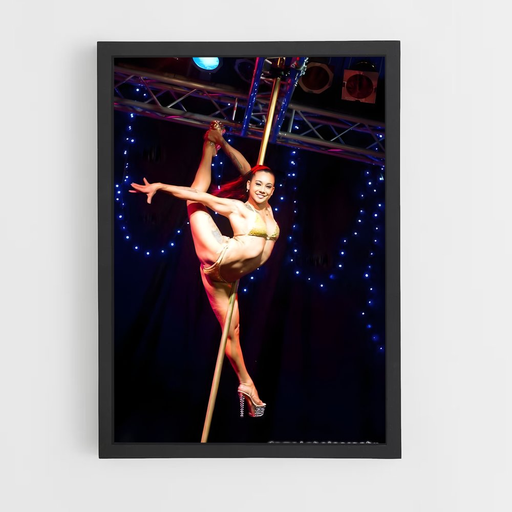 Poster Pole Dance Fever – affiche Danse (vue 2)